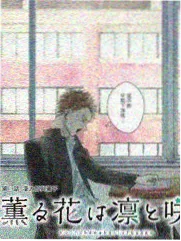 txt阅读体验优化配图